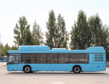 МАЗ-203.С46 '2020–21