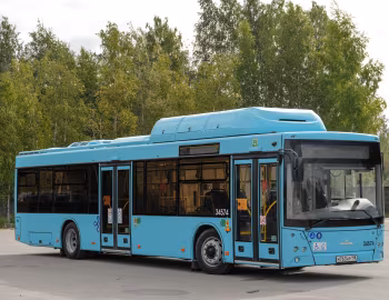 МАЗ-203.С46 '2020–21