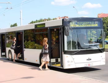 МАЗ-203 '2006–pr.