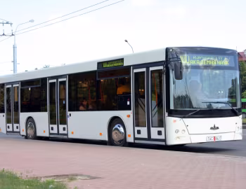 МАЗ-203 '2006–pr.