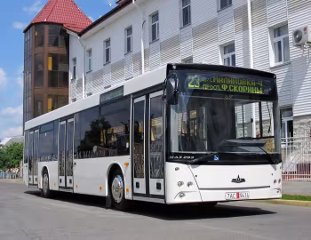 МАЗ-203 '2006–pr.