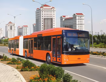 МАЗ-205 '2009–13