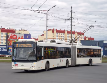 МАЗ-215Т "ЭТОН" '2014