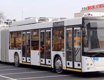 МАЗ-215Т "ЭТОН" '2014