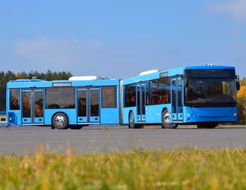МАЗ-216 '2018–pr.