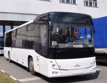 МАЗ-231 "Алеся" '2010–pr.