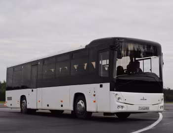 МАЗ-231 "Алеся" '2010–pr.