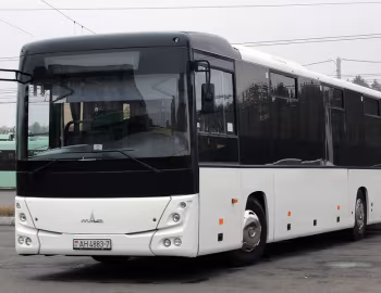 МАЗ-231 "Алеся" '2010–pr.