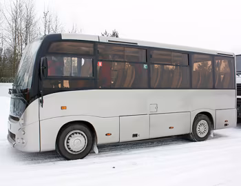 МАЗ-241 '2010–18