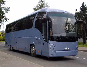 МАЗ-251 '05.2006–23