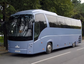 МАЗ-251 '05.2006–21