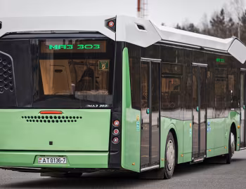 МАЗ-303.266 '2019