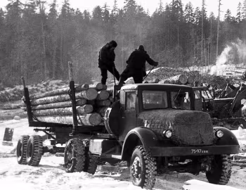 МАЗ-501 '12.1955–66
