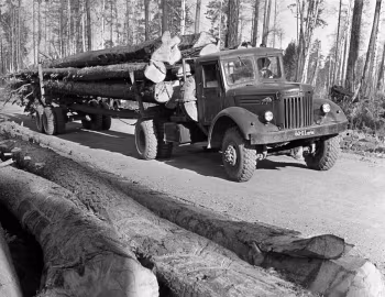 МАЗ-501 '12.1955–66