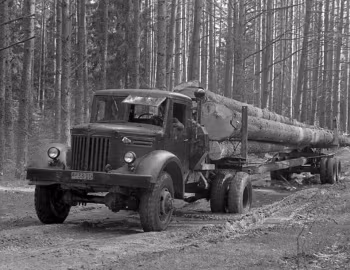 МАЗ-501 '12.1955–66