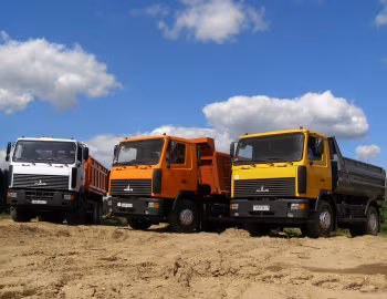 МАЗ-5516, МАЗ-5550, МАЗ-6501