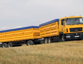МАЗ-6501A8-325-000 "Колос" '2015–pr.