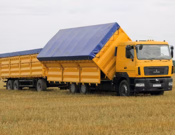 МАЗ-6501A8-325-000 "Колос" '2015–pr.