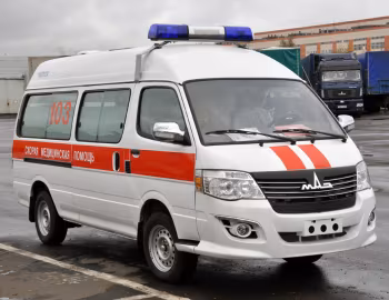 МАЗ-Купава-393107 '2011–12
