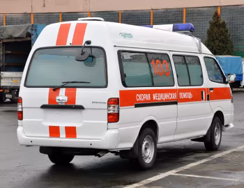 МАЗ-Купава-393107 '2011–12