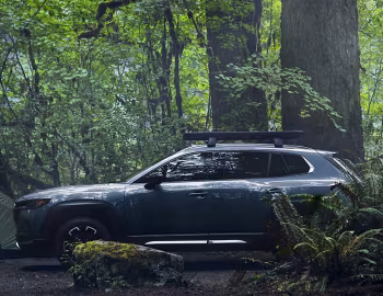 2023–pr. Mazda CX-50 Skyactiv-G Turbo AWD [North America] '01.2022–pr.