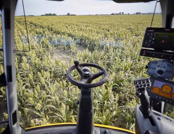 Interior Mazzotti MAF 3180 '2016–pr.