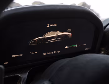 Painel 2019–pr. McLaren Senna [North America] (P15) '2018–pr.