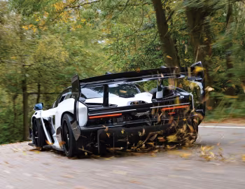 McLaren Senna GTR '2019–pr.