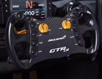 Painel McLaren Senna GTR LM 825/1 "Ueno Clinic car" (P15) '2020