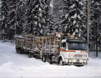 Mercedes-Benz 2235 L Powerliner Holztransporter (Br.648) '1986–????