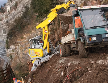 Menzi Muck A81 '2004–19