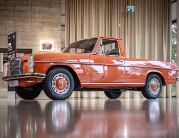 Mercedes-Benz 220 D/8 Pick-up [Argentina] (F 115 D22) '1972–76