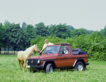 Mercedes-Benz 250 GD Offener Wagen (Bm.460.317) '10.1987–92