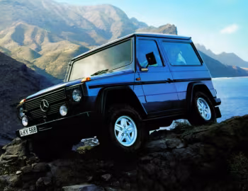 Mercedes-Benz 250 GD Station (Bm.460.337) '10.1987–92