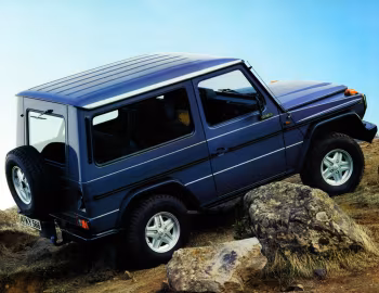 Mercedes-Benz 250 GD Station (Bm.460.337) '10.1987–92
