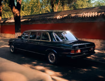 Mercedes-Benz 250 Limousine (V123) '1976–85