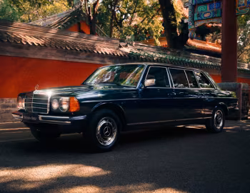 Mercedes-Benz 250 Limousine (V123) '1976–85