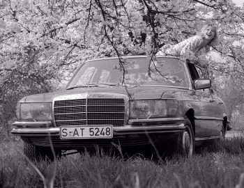 Mercedes-Benz 450 SEL (V116) '1973–80