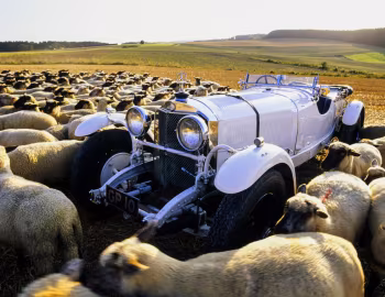 Mercedes-Benz 710 SS 38/250 Rennsport '1930