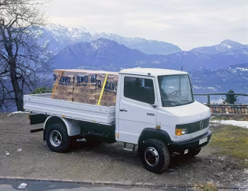 Mercedes-Benz 814 DA Pritschenwagen (Br.670) '1990–94