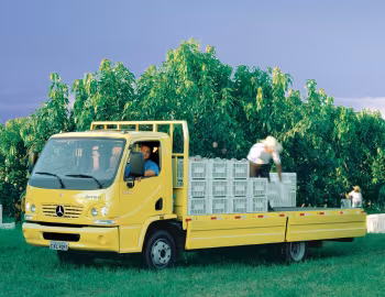Mercedes-Benz Accelo 915 C [Brazil] (Br.979) '2003–11