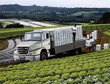Mercedes-Benz Atron 1318 [Brazil] '2011–10.2015