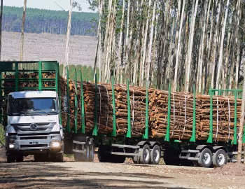 Mercedes-Benz Axor '2004–pr.