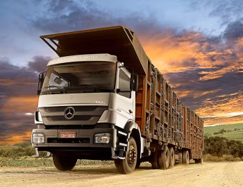 Mercedes-Benz Axor 2831 6×4 [Brazil] '2011–13