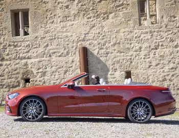 Mercedes-Benz E 450 4MATIC AMG Line Cabrio [Worldwide] (A238) '2020–23