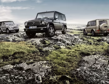 Mercedes-Benz G-Klasse (Br.463) '2008–12