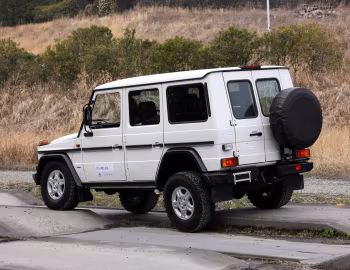 Mercedes-Benz G 300 CDI Professional [Japan] (Br.461) '2010–13