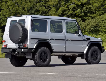Mercedes-Benz G 300 CDI Professional [Worldwide] (Br.461) '2010–13