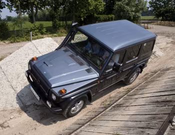 Mercedes-Benz G 300 CDI Professional [Worldwide] (Br.461) '2010–13