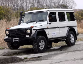 Mercedes-Benz G 300 CDI Professional [Japan] (Br.461) '2010–13